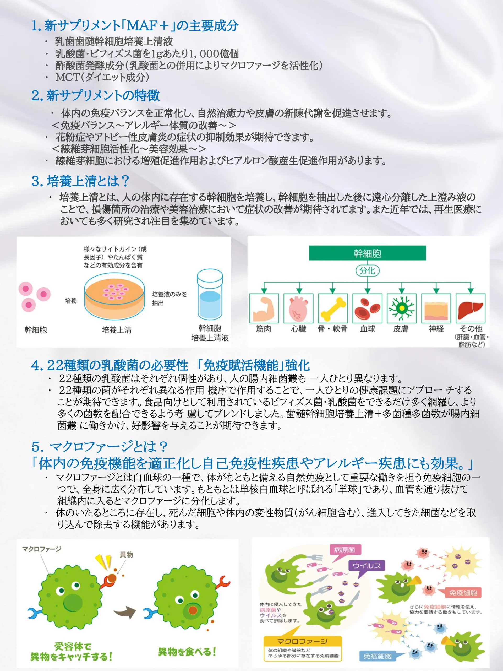 BEREAGE MAF+AG-III 乳齒幹細胞培養上清液營養補充錠_日版-2