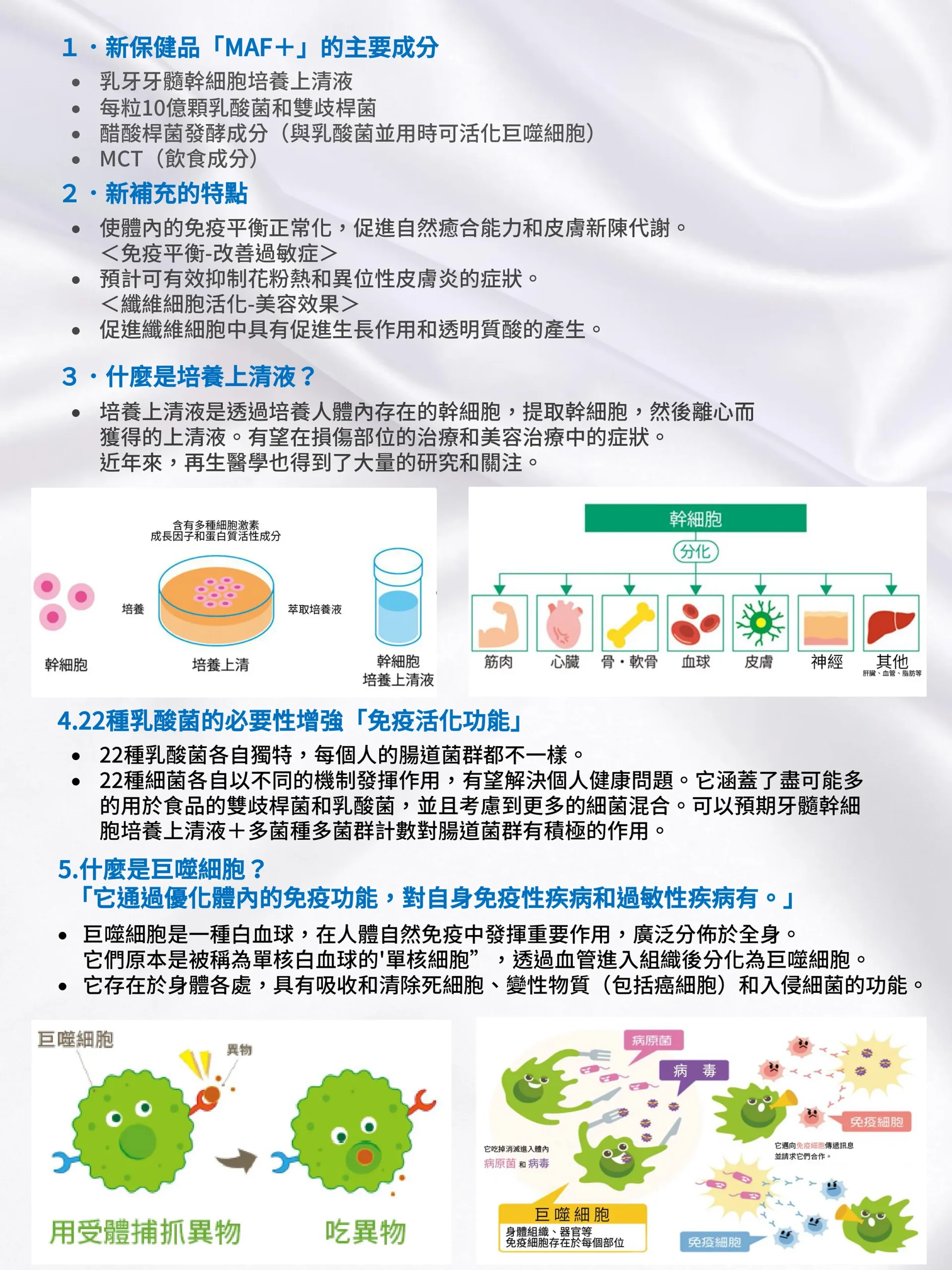BEREAGE MAF+AG-III 乳齒幹細胞培養上清液營養補充錠_日版-2